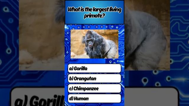 Trivia Quiz Part 47 trivia