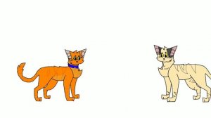 Стань диким в двух словах / коты воители/