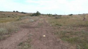 МОЩНЫЙ ЗАРЯД,эксперимент с петардой 6 корсар от мегапир