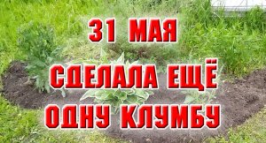 31 мая. Из внезрачного уголка сделала новую клумбу