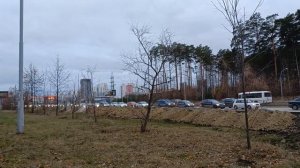 Академический район_утренние пробки на дорогах