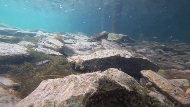 Голубое озеро в Башкирии. Заброшенный виадук. Фотоохота на рыб, поймали крупную. смотреть онлайн