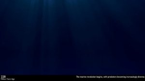 Timeline of the Universe: From Birth to Death