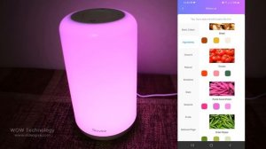 Review: Govee Aura Lite RGBWW Wi Fi + Bluetooth Table Lamp | Smart Home Décor