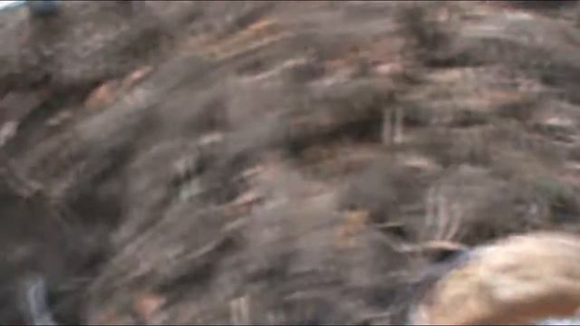 И снова шурф,и снова древние находки! смотреть онлайн