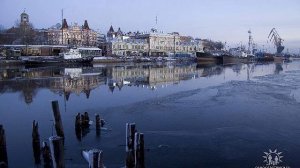 самоволка песня