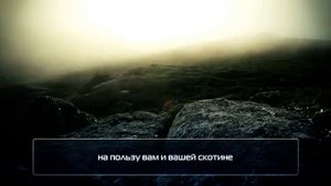 Мухаммад Аль Люхайдан Сура Абаса