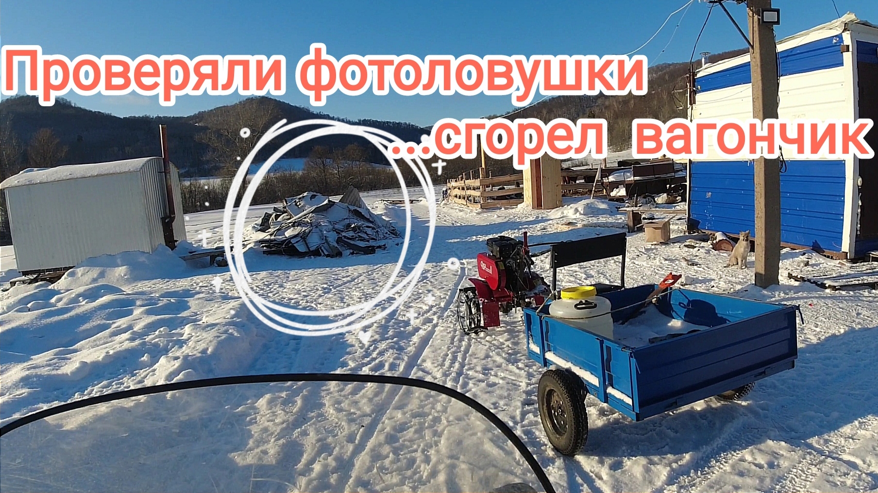 Пожар в лесной будке. Проверка фотоловушек. смотреть онлайн