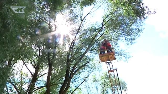 В ЭТОМ ГОДУ ОБНИНСК СТАЛ ЗНАЧИТЕЛЬНО СВЕТЛЕЕ смотреть онлайн