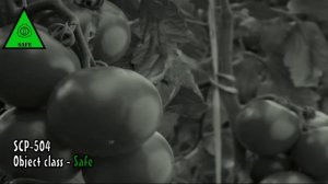 SCP-504 "Помидоры-критики".
