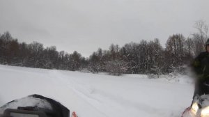 Деревенская жизнь/ Нашли кабанов рядом с лошадьми/ Башкирская порода лошадей