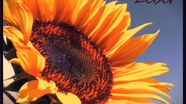 Send Me On My Way (Suitcase Remix) смотреть онлайн