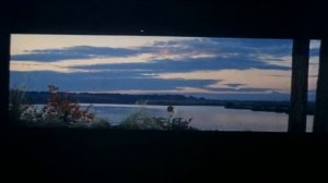 Автомобиль, скрипка и собака Клякса