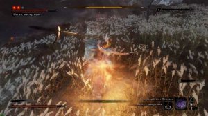 Иссин, Мастер меча Sekiro: Shadows Die Twice Финальный Босс