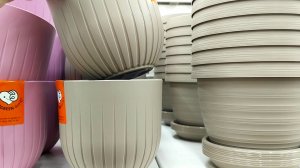 ?Ашан?Цветочные Горшки?Декор?Семена (от марки Ашан)