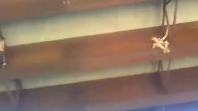 hanging the rope swing at hannah dustin смотреть онлайн