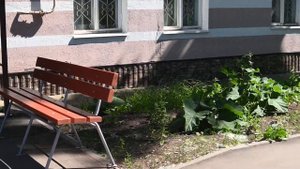 Дом в Бугульме (входная дверь ниже уровня земли)