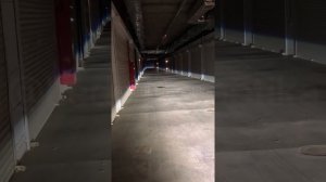 Bi-Led туманки в штатные места Гольф 6, Туарег НФ, Джетта 6, Тигуан 1