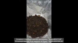1000 червей НАГЛЯДНО!!! Сколько это? Как выглядит семья червей?