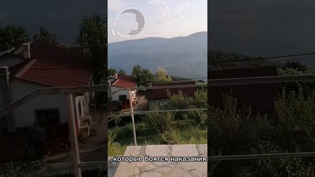 Чувство вины, раскаяние и отпускание грехов.