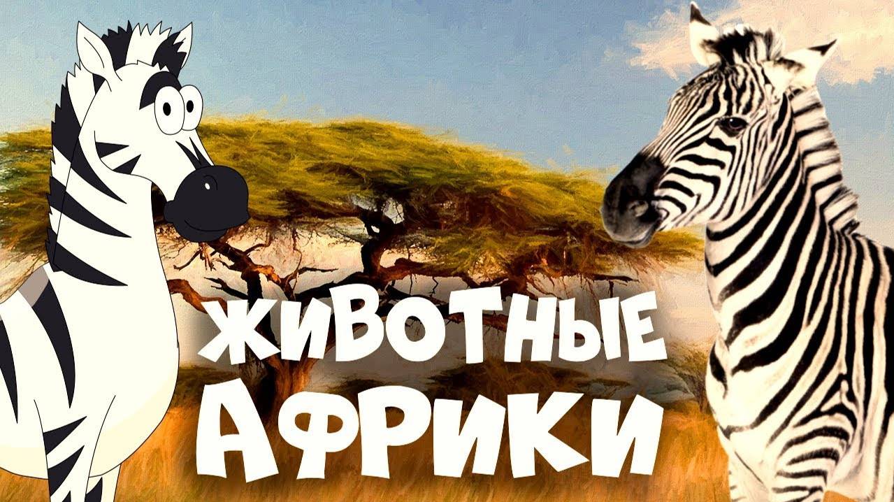 ЖИВОТНЫЕ АФРИКИ! Развивающие мультики для детей + видео про животных