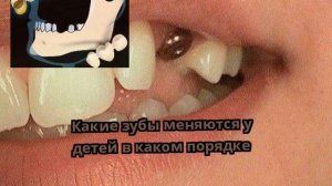 Какие зубы меняются у детей в каком порядке