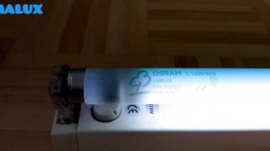 EOL fluorescent tube #91: OSRAM Lumilux L18W/865 Daylight T8
