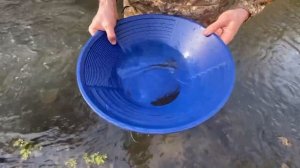 Выбор места опробированием старательским лотком, перед тем как ставить мини-драгу.