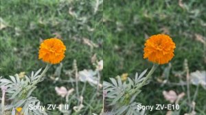 Sony ZV-1 II vs Sony ZV-E10 Camera Test