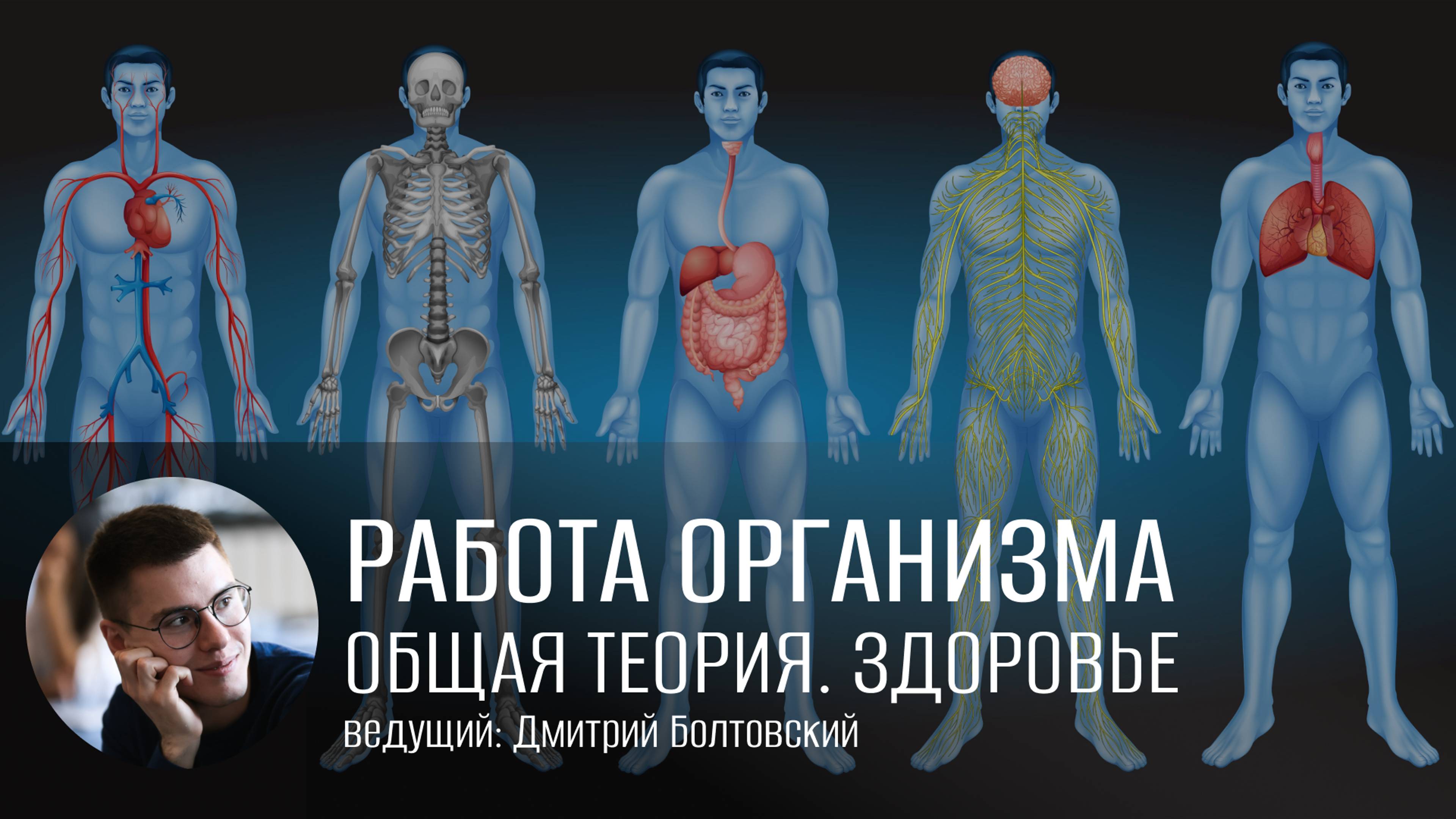 Работа организма. Общая теория организма. Здоровье