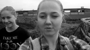 VLOG : Выходные на конюшне| Алиса без Медеи!?
