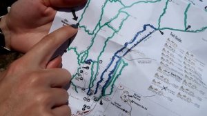 24 ЧАСА ВЫЖИВАЕМ СО ЗМЕЯМИ МИСТИЧЕСКИЙ КВЕСТ С АЛОЯ ВЕРА | САША АМОРАЛ