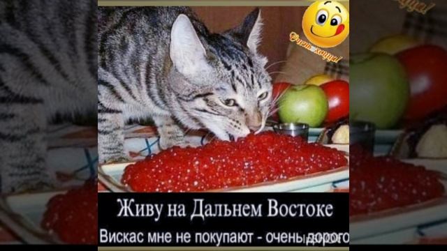 супер