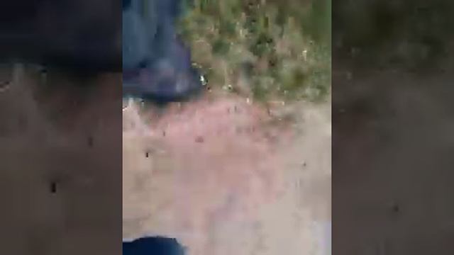 Мини река в селе часть 2 смотреть онлайн