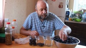 ТЕРН маринованный   супер закуска на зиму. тёрн как оливки ?