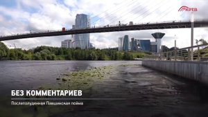 КРТВ. Без комментариев. Послеполуденная Павшинская пойма