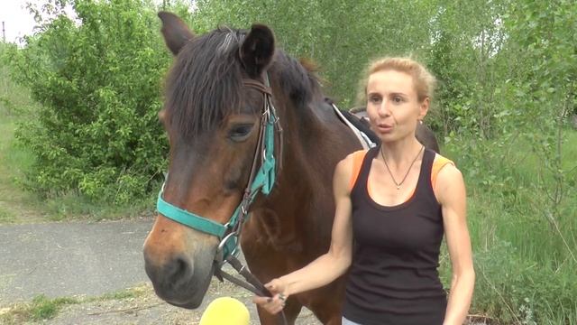 "Струни душ людських" Іпотерапія, як засіб фізичної і психологічної реабілітації