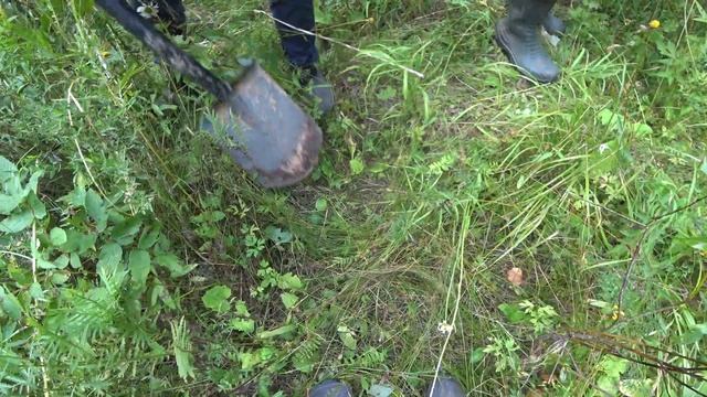 Вывозим тонны металла с объекта, это надо видеть?,копаем металл под трактор дт75 #металлокоп #дт75 смотреть онлайн