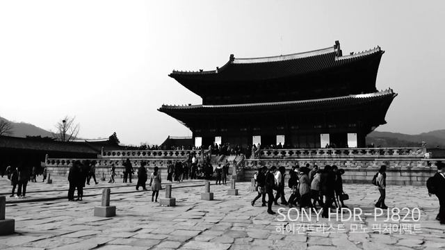 SONY Handycam PJ820 HighContrast Effect Test