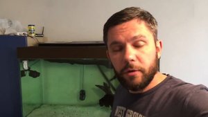 Пираний больше нет / пересаживаю тетрадона / ответы на вопросы