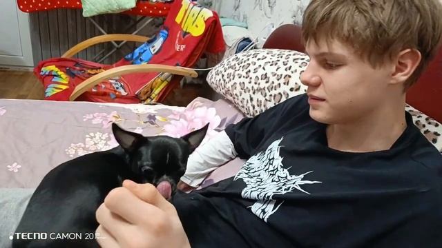 Чих попрошайка) У сына выпрашивает сыр.