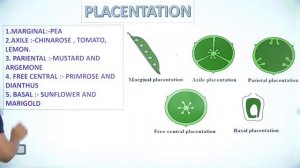 Morphology of Flowering Plant L-2 | Final Revision Series 2020 | NEET | Sandeep Sir | Career Point