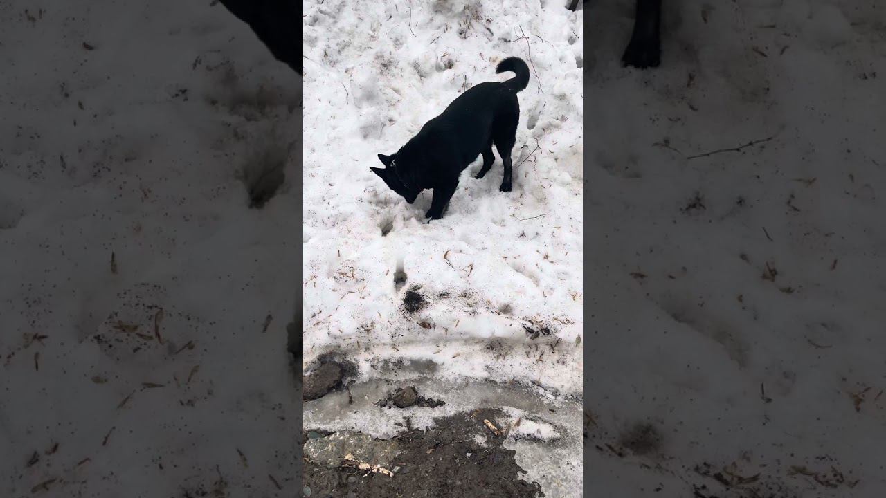 3 апреля 2024 г. смотреть онлайн