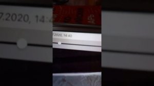 Паук волк против сенокосца! Кто же победит?