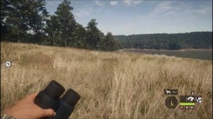 theHunter COTW - Why New England Mountains