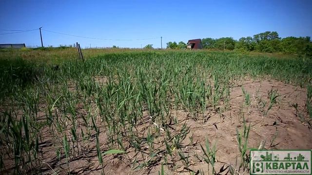 ДНТ "Дубрава" смотреть онлайн