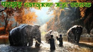 Словарь Хинди 3000 слов (СЕЗОН)1-7