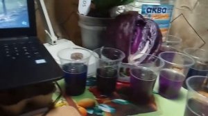 Как определить жесткость воды просто и быстро.