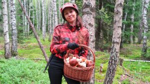 В ГРИБНОМ ПЛЕНУ: БЕЛЫЕ ГРИБЫ и ПОДОСИНОВИКИ | Марш-бросок на грибные места