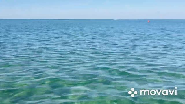 Анапа Чёрное море Дельфины Пляж МореЛето 8 сентября 2022 г. Russia Anapa Black Sea Beach
